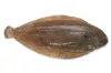 Sole fish price in delhi