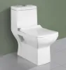 Largest One Piece Closet Manufacturer:-solexo ceramics - solexo.in