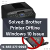 Brother Printer Offline Windows 10
