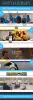 South Jersey Website Design - Best/Worst websites [FULL REPORT]