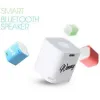 Reinforce Brand Name Using Custom Bluetooth Speakers