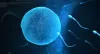 Advanced Male And Female Infertility – ILC Dr.Heena Agrawal