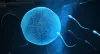 Male and Female Infertility Doctor in Indore | IVF Specialist