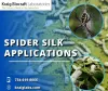Spider Silk Applications — ImgBB