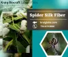 Spider Silk Fiber - Gifyu