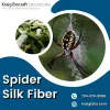 Spider Silk Fiber - Gifyu
