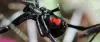 Spider Treatments &amp; Control in Gold Coast And Brisbane