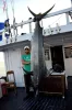 An Unforgettable Experience - Book a Fishing Trip Now | Sports Fishing
