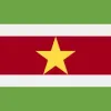 Register your .sr domain name for Suriname and get free hosting and email Domain Services Registration