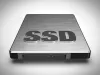 SSD Wordpress Web Hosting In UAE