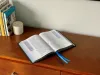 BOOK EDITING- TYPES AND NEEDS