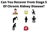 Can you Recover from Stage 5 of Chronic Kidney Disease?