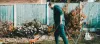 Lawn Maintenance Services