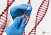 Stem Cell Transplant in India