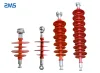 Strain Type Insulators