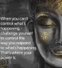 Meditation for life