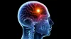Closest Over The Counter Drug Adderall Substitutes - The Ultimate Guide