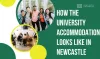 How the University Accommodation Looks Like In Newcastle