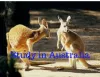 Study in Australia, Study Abroad in Australia - EMC Australia