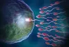 Success Rate of Frozen Embryo Transfer