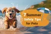 7 Summer Safety Tips for Pets