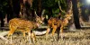 2night 3days Sundarban Tour - Weekend Winter Offer 2021