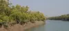 Sundarban tour package