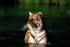 Sundarban Luxury Tour Package - Exclusive Tour 