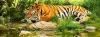 1 Night 2 Days Sundarban Tour- Service Guaranteed Book Now