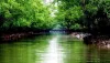 Beauty Of Nature With The Sundarban Tour Package From Kolkata