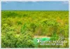 SUNDARBAN PACKAGE TOUR FROM KOLKATA | TRAVOTIC HOSPITALITY