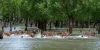 Sundarban Tourism Package: A Journey To The Mangrove Forest