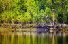 National Parks and Wildife Sanctuaries in India