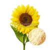 sunflower lecithin, lecithin powder, sunflower lecithin powder, sunflower lecithin bulk, bulk herbs wholesale, organic herbs wholesale, wholesale bulk herbs, organic foods, food industry