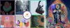 SuperRare Clone Script | Creates superlative SuperRare NFT Marketplace