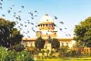 The Role of Criminal Lawyer in Criminal Cases and Defense Proceedings