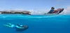 Maldives Tourism | Maldives Honeymoon Holidays Vacation
