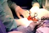 Surgeon Email List
