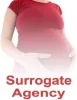 surrogacy cost in argentina