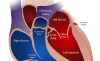 All you need to know about the survival rate of heart valve replacement surgery | Digital Scrapz