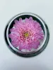 Sweet Spider Chrysanthemum Fishbowl Vase | Flower Delivery Melbourne