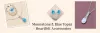 Moonstone vs Swiss Blue Topaz: Which Gem Should You Pick