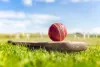 Charting the Growth of Online Cricket and Sports ID Providers in India | TheAmberPost