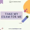 Take My Exam for Me