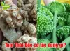                   Hoa và Củ Tam Thất Bắc có tác dụng gì? Chia sẻ từ CHUYÊN GIA			         