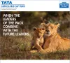 Tata Large & Mid Cap Mutual Fund