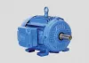 TEFC Motor Manufacturers, Supplier, TEFC Squirrel Cage Motor Dealer