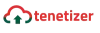 #1 Salesforce CRM Consulting Partner Services Firm | Tenetizer