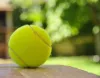 Tennis Ball Exporters in India | Nexus Sports India
