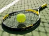 Tennis Ball Manufacturers in India | Nexus Sports India